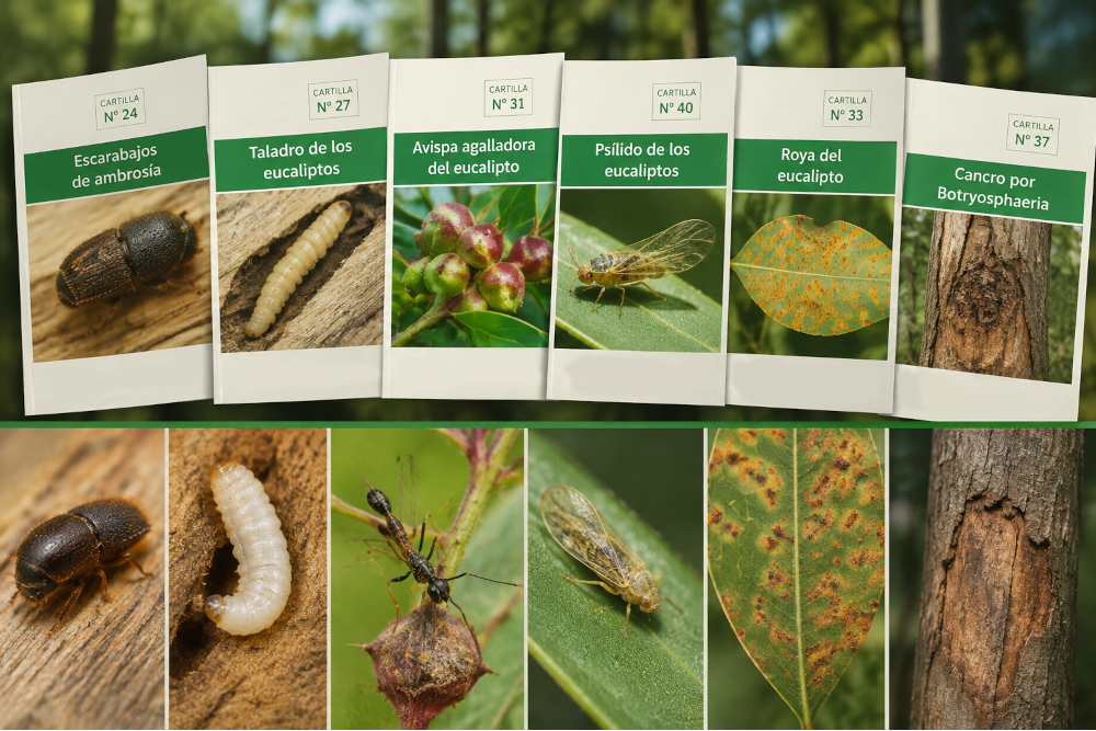 INIA publica cartillas para identificar plagas y enfermedades forestales en Uruguay