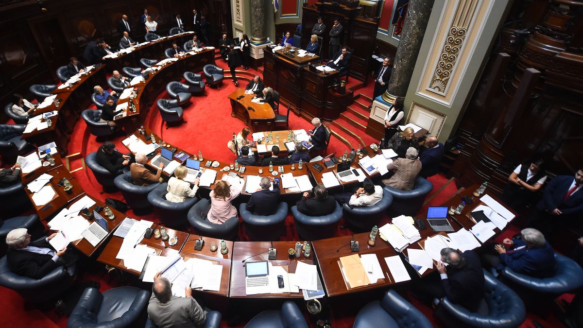 El Senado aprobó por unanimidad un proyecto que permite faltar al trabajo hasta ocho horas al año por actividades educativas de los hijos