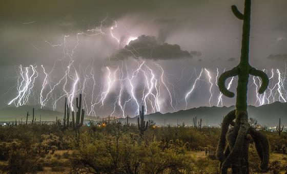 La Organización Meteorológica Mundial advierte que El Niño se intensificará a partir de agosto