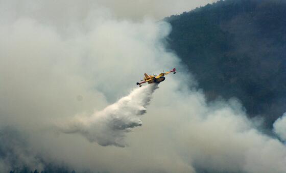 La ONU advierte que la prevención es la clave frente a los incendios forestales que afectan a Europa y Norteamérica