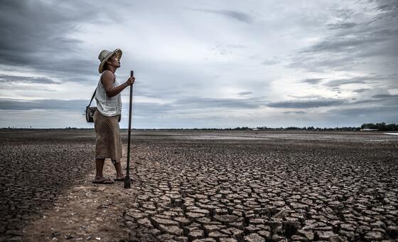 La ONU advierte que el planeta está por superar los límites de temperatura seguros y que actuar ahora puede evitar la catástrofe climática