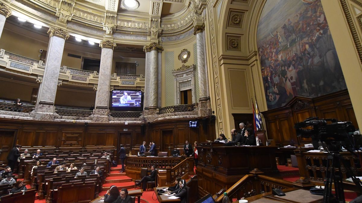 Diputada blanca apuntó a "mezquindad" de legisladores que no votaron artículos sobre discapacidad en la Rendición de Cuentas