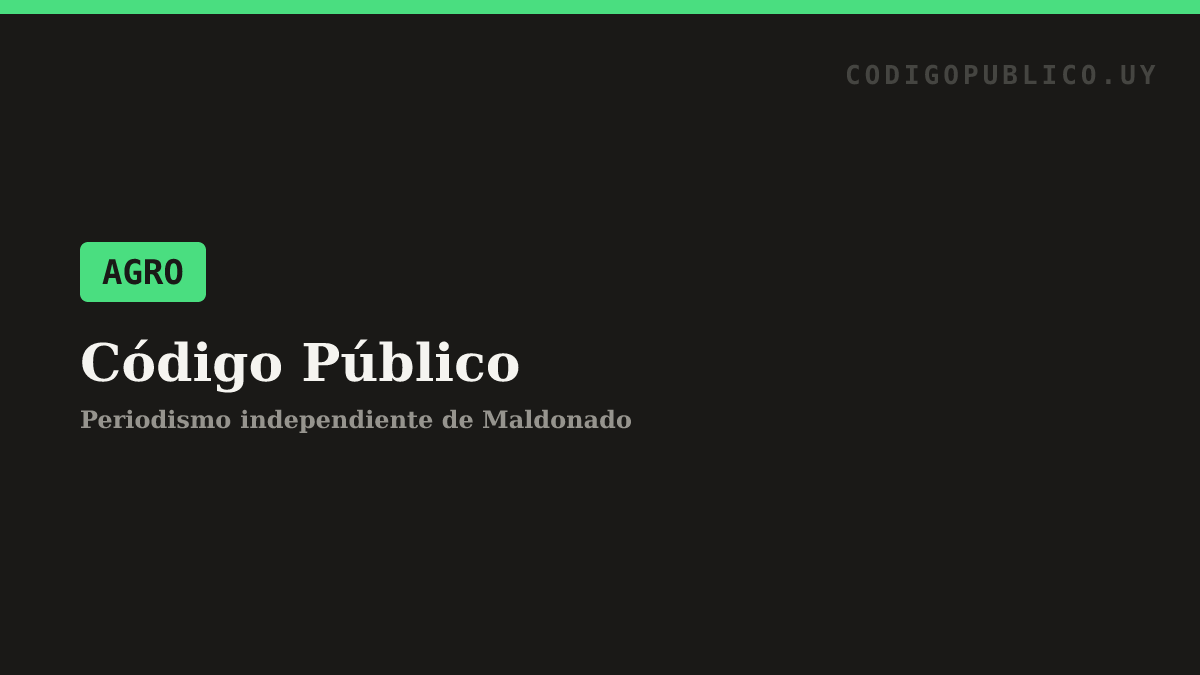 El Poder Ejecutivo acordó con el sector arrocero un instrumento financiero para apoyar a 400 productores