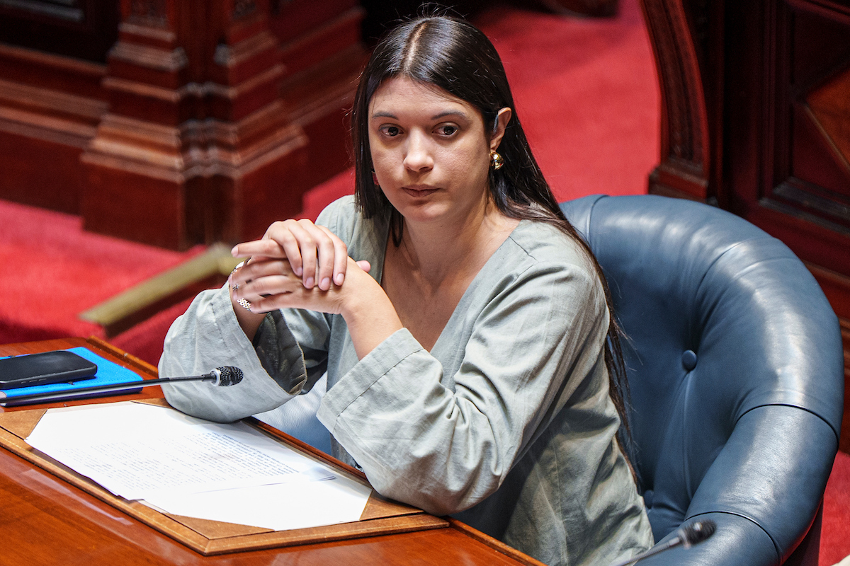 Sierra afirma que el proyecto sobre endeudamiento de familias sumará aportes del MEF y de Cabildo Abierto