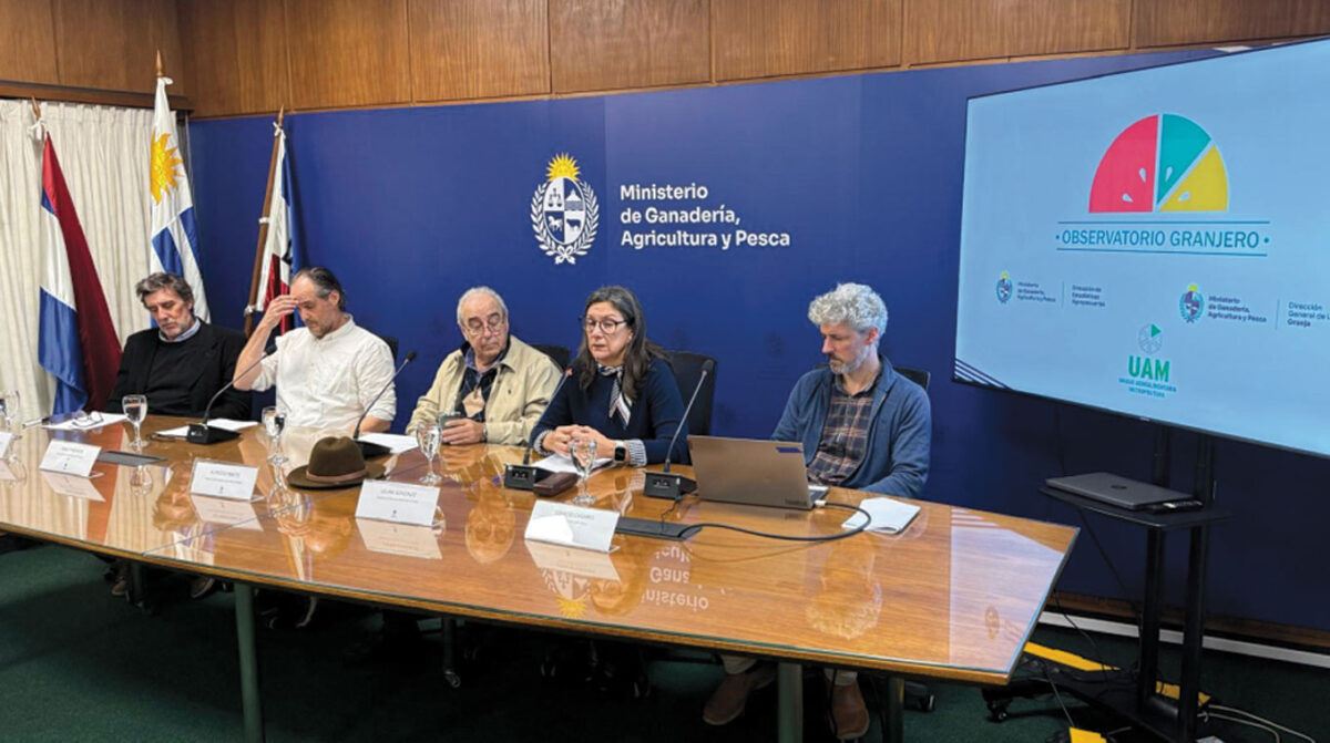 MGAP presenta resultados de la zafra 2025/26 de frutales de hoja caduca