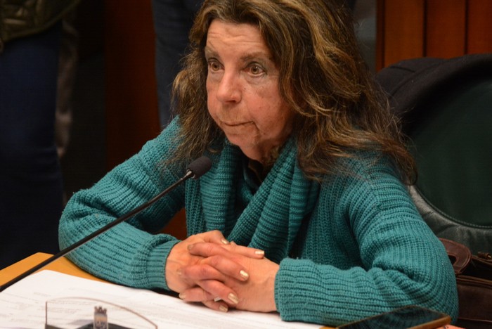 Rita Colombo renunció a la vicepresidencia de la Junta Departamental de Maldonado y proponen a Ignacio Méndez