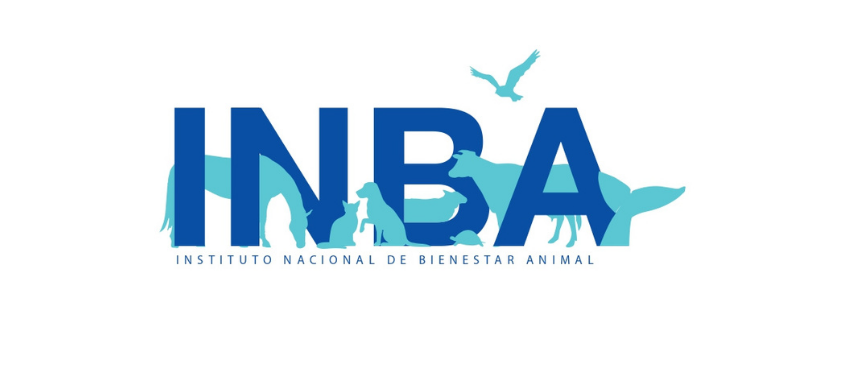 Incautaron 26 animales en vivienda de la edila Ana Rita Colombo