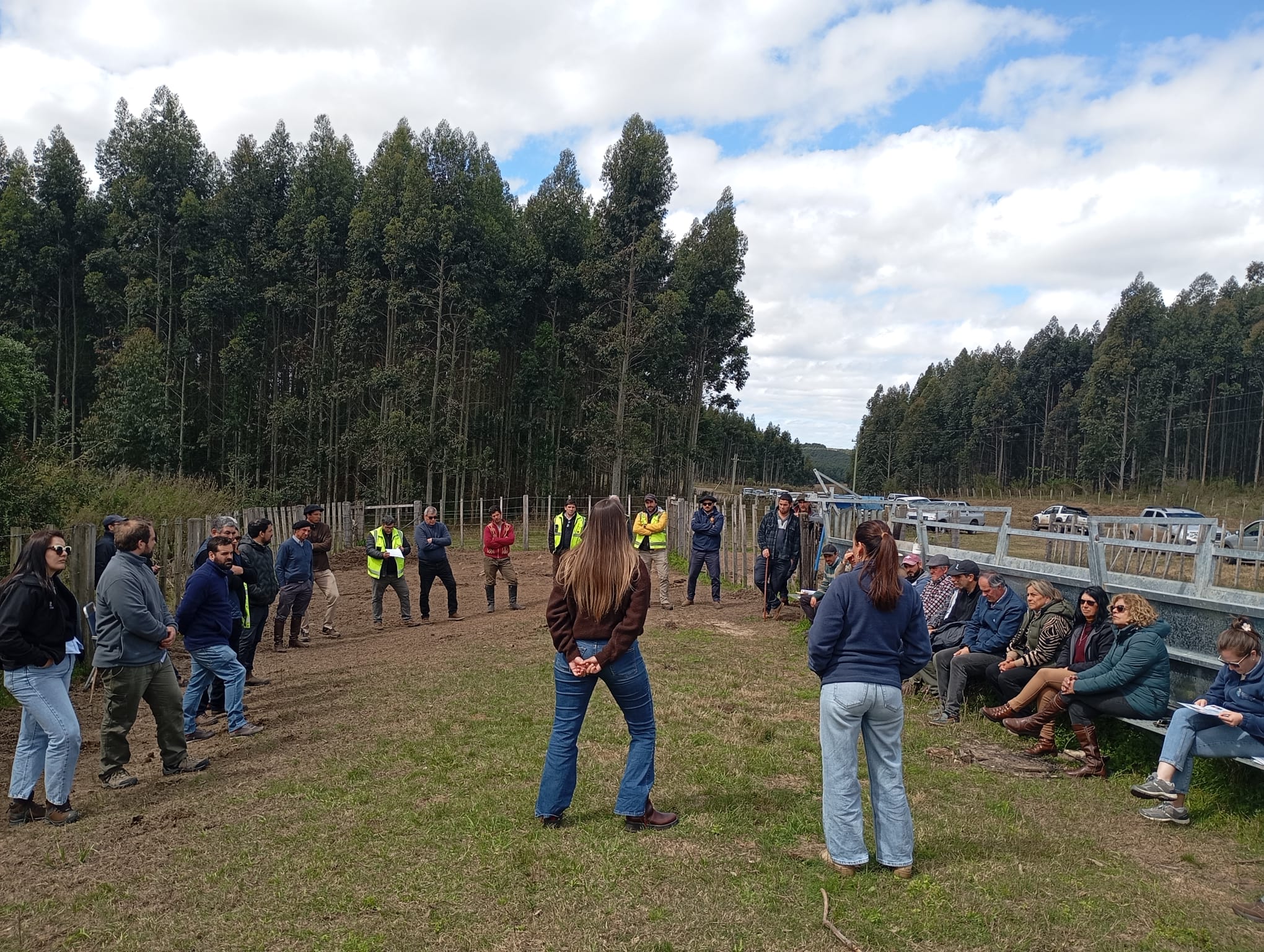 Jornada sobre garrapata en Tacuarembó: pastoreantes revisaron unos 45 bovinos a campo