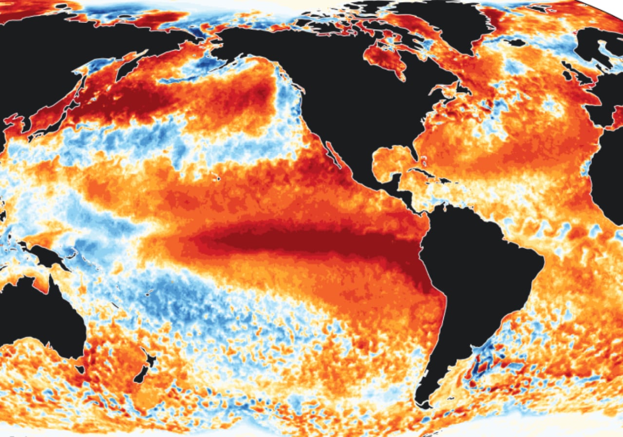Productores aplican seis estrategias para enfrentar el fenómeno climático “El Niño”