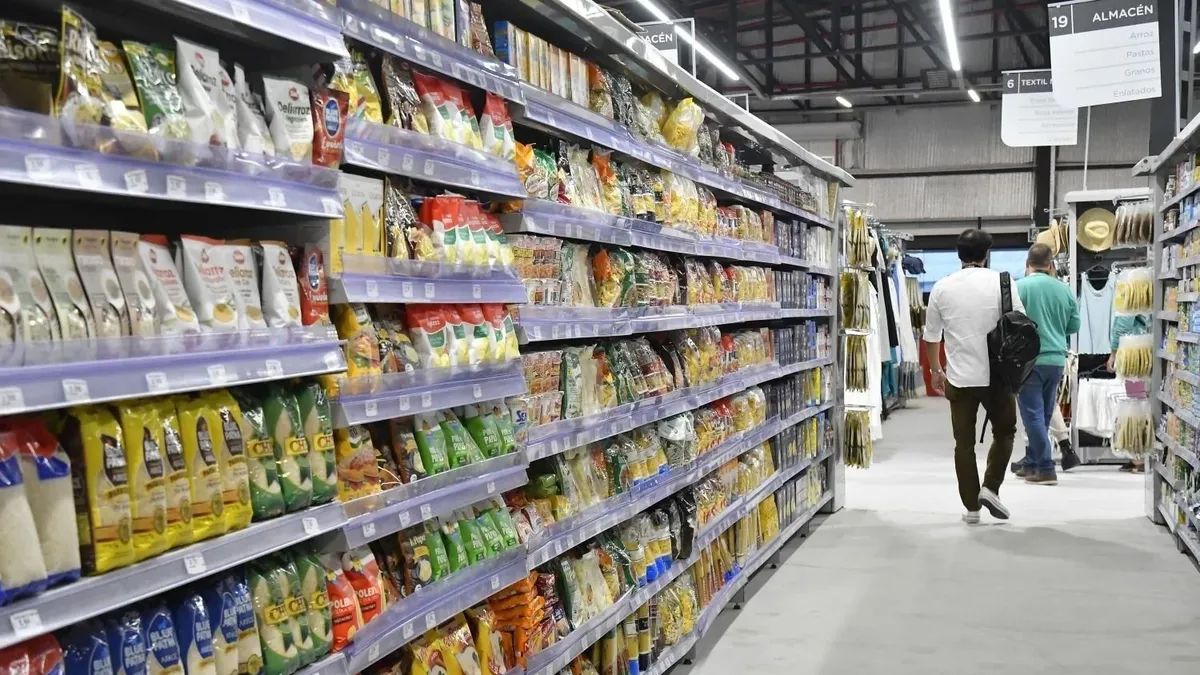 Importadores advierten al gobierno por cuatro problemas en el registro simplificado de productos