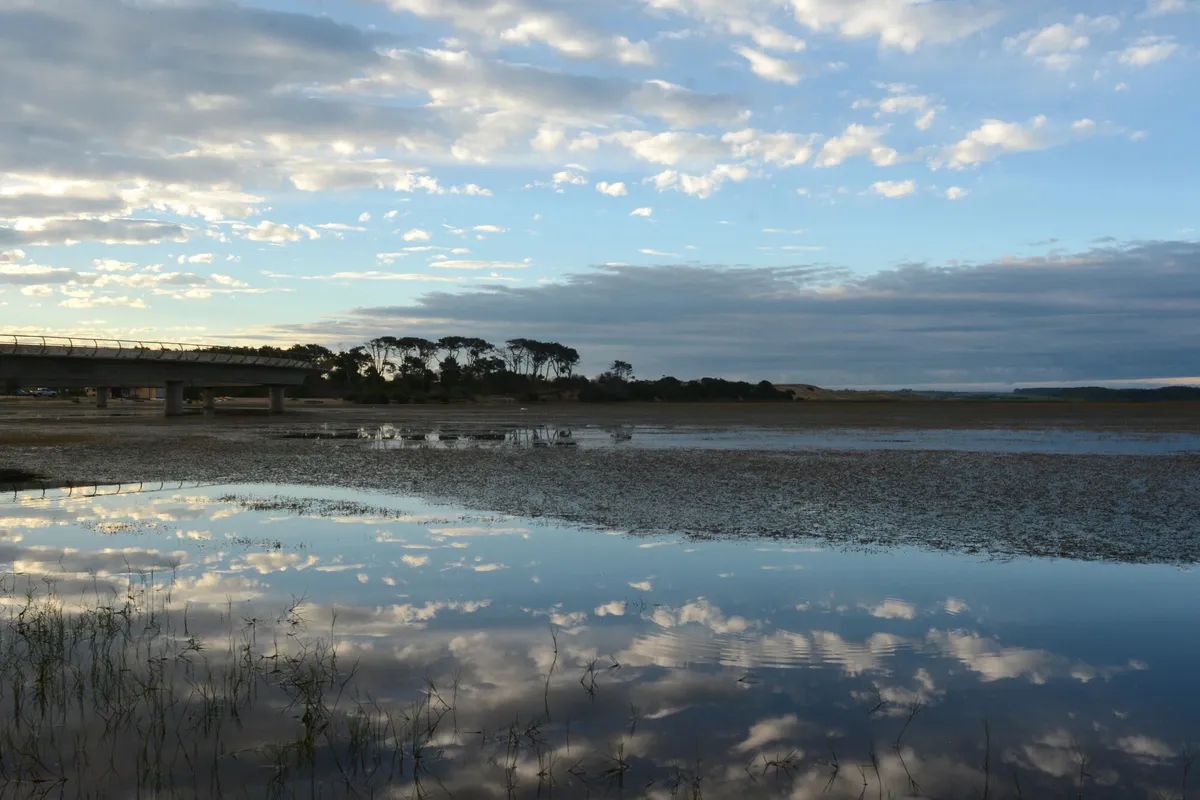 Liga de Fomento de José Ignacio pidió al Ministerio de Turismo que se oponga al aeropuerto proyectado en Las Garzas
