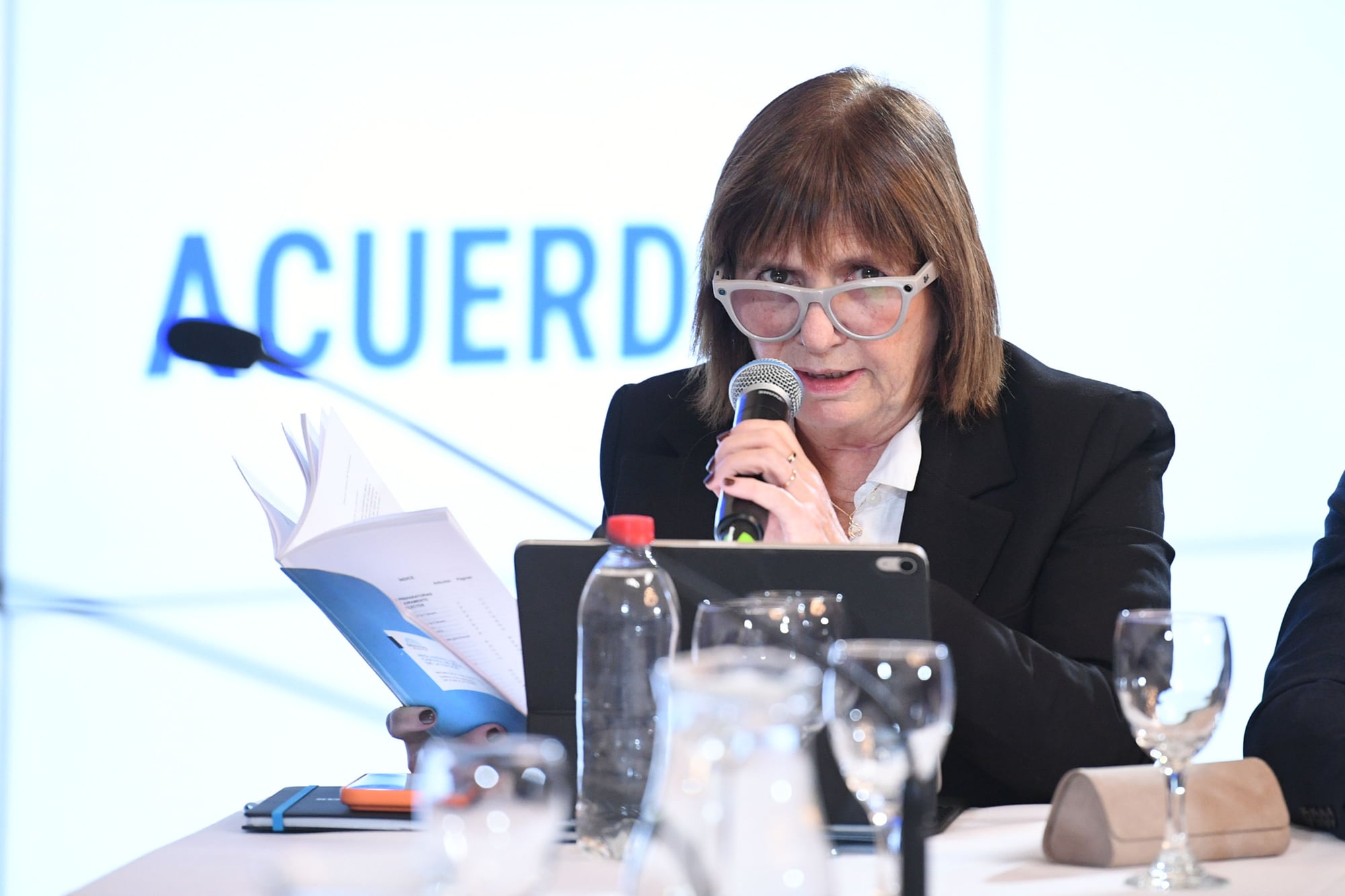 Bullrich busca aprobar el jueves en el Senado los pliegos de 53 jueces, entre ellos los de Bertuzzi y Yadarola para la Cámara Federal